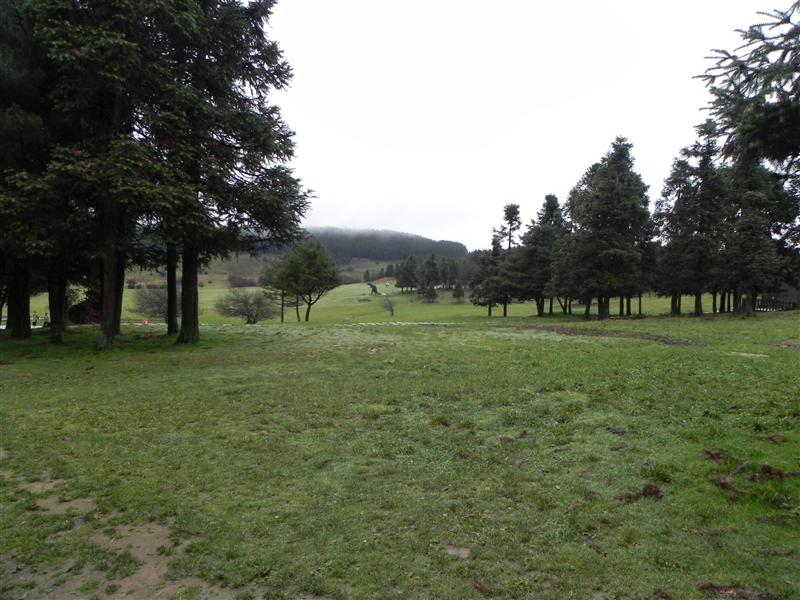 武隆 仙女山大草原 武隆 仙女山大草原