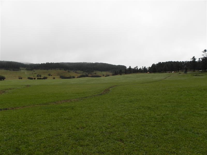 中国 重庆 武隆 仙女山大草原 中国 重庆 武隆 仙女山大草原