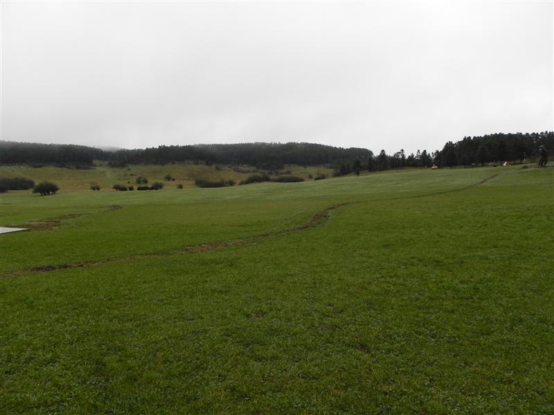 中国 重庆 武隆 仙女山大草原  中国 重庆 武隆 仙女山大草原