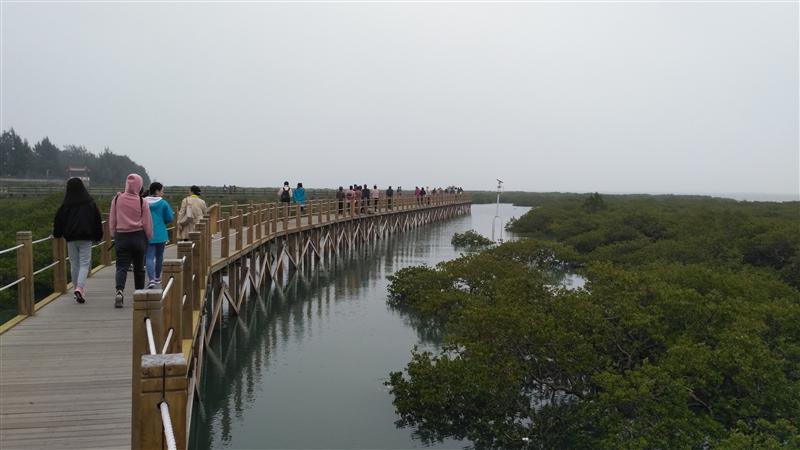 中国 广西 北海 金海湾红树林  中国 广西 北海 金海湾红树林