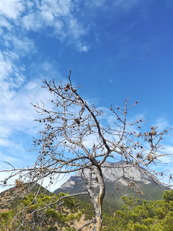 中国云南 泸沽湖  观景台 冬