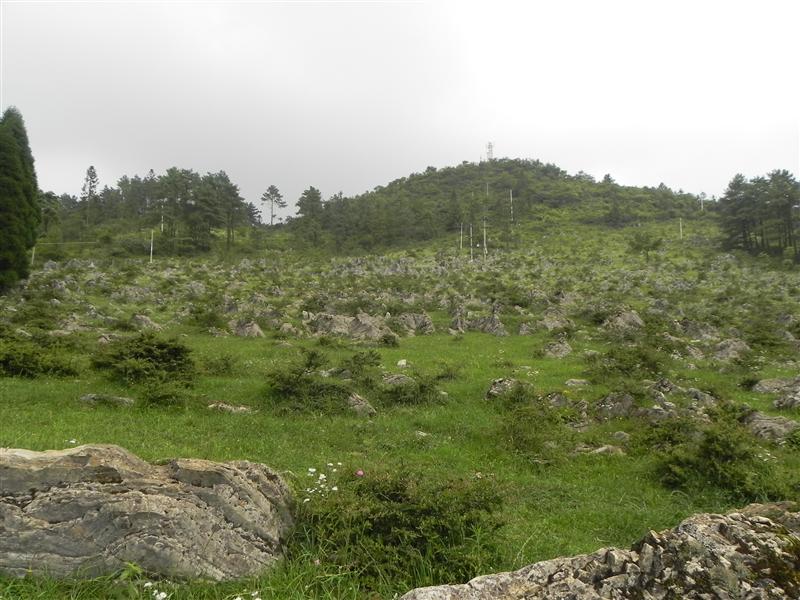 黄水 千野草场 黄水 千野草场