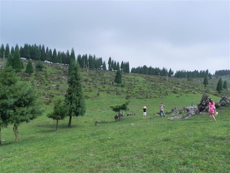 黄水 千野草场 黄水 千野草场