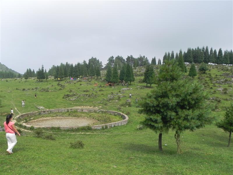 黄水 千野草场 黄水 千野草场