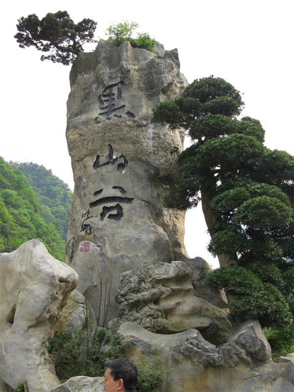 重庆万盛 黑山谷