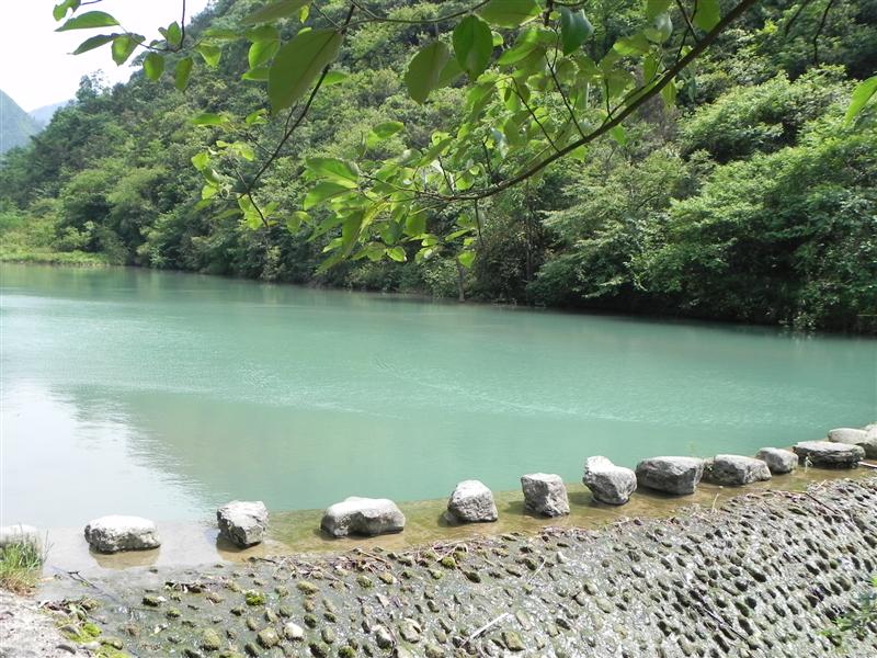 重庆万盛 黑山谷 重庆万盛 黑山谷