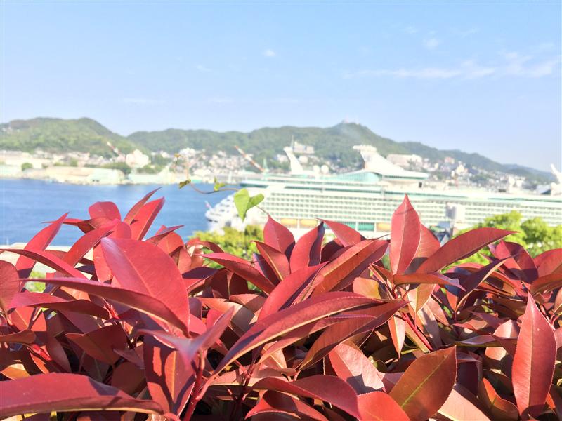 亚洲 日本 高知 长崎 街景 邮轮上岸游