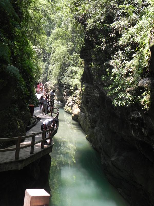 重庆万盛 黑山谷 重庆万盛 黑山谷