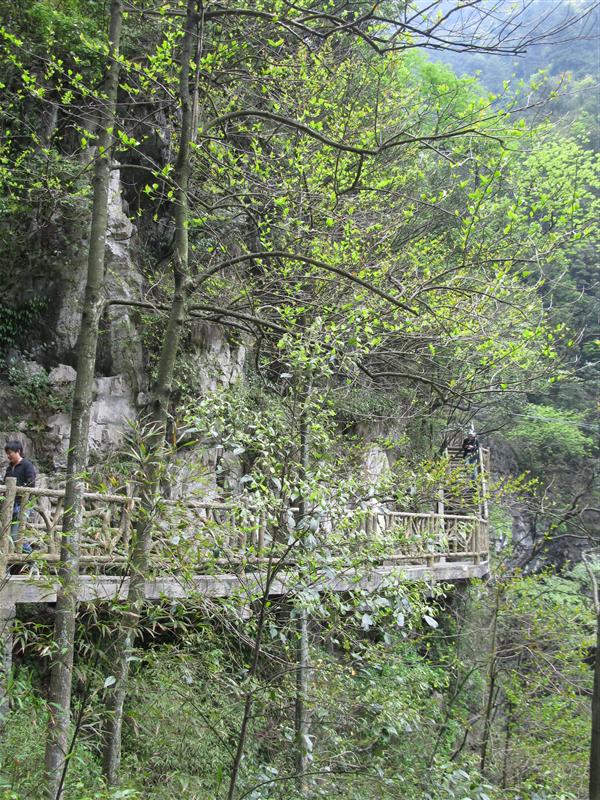 万盛 黑山谷 万盛 黑山谷