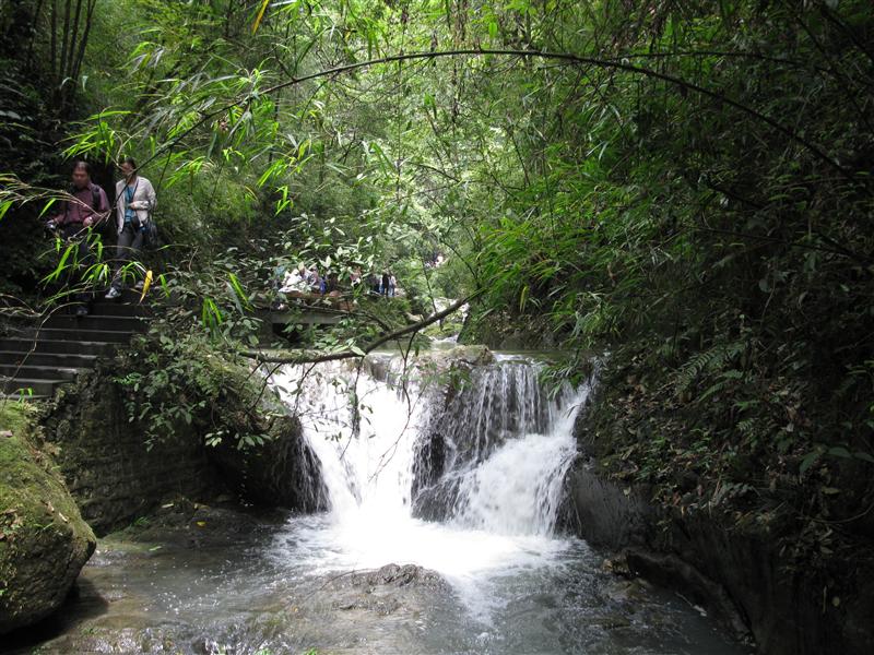 重庆万盛 黑山谷