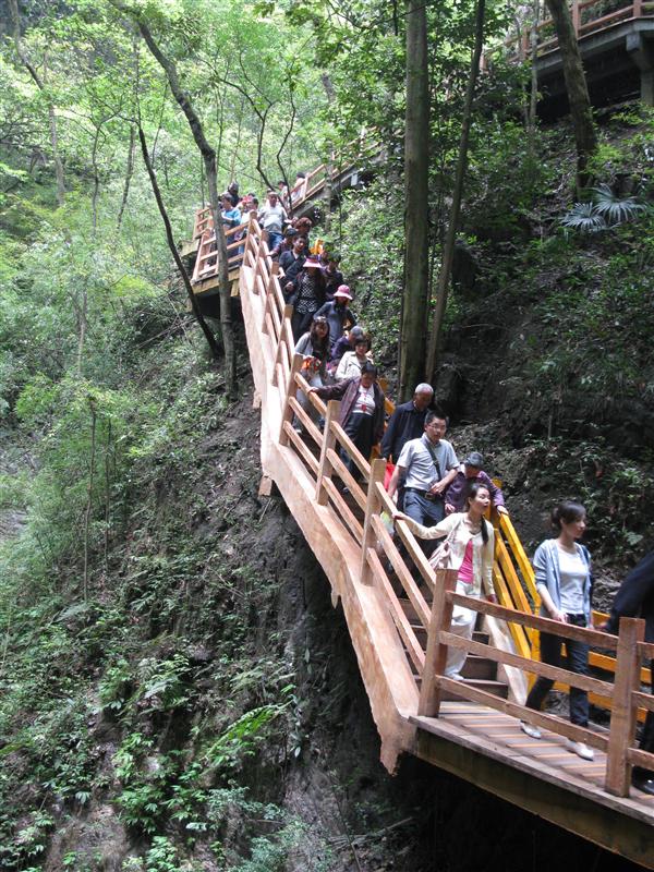 重庆万盛 黑山谷