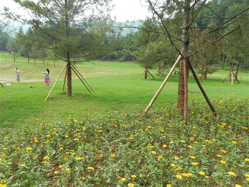 中国 重庆巫溪 红池坝 入口草场 夏季