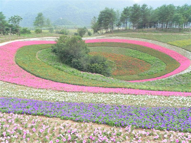 中国 重庆巫溪 红池坝 夏季