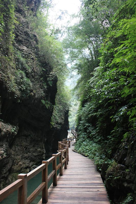 万盛黑山谷 万盛黑山谷