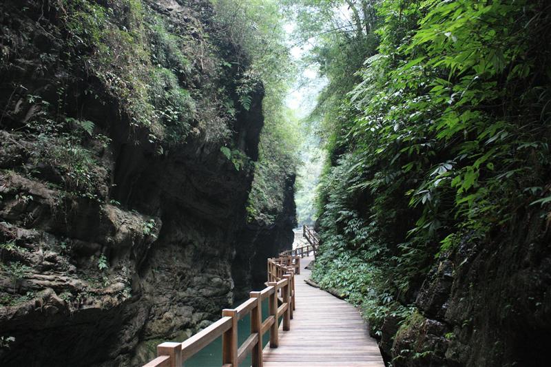 重庆 万盛黑山谷  重庆 万盛黑山谷