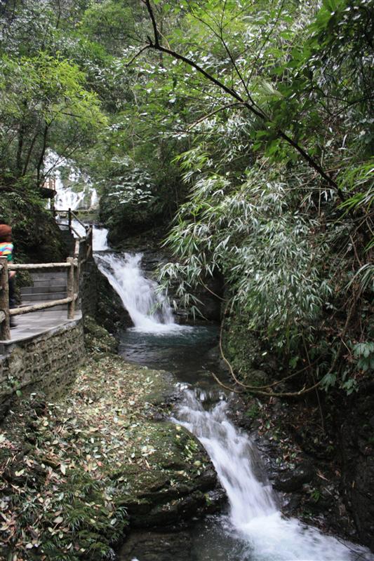重庆 万盛黑山谷 重庆 万盛黑山谷