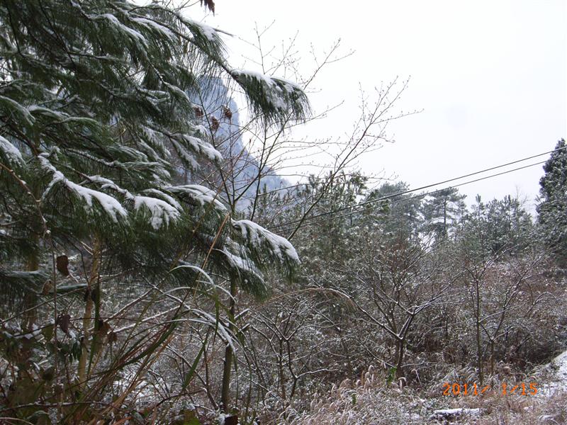 中国 重庆 南川金佛山 冬季 中国 重庆 南川金佛山 冬季