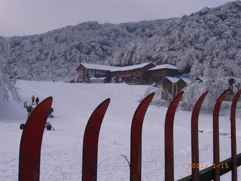 中国 重庆 南川金佛山 冬季