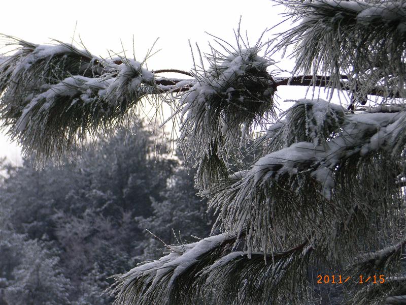 中国 重庆 南川金佛山