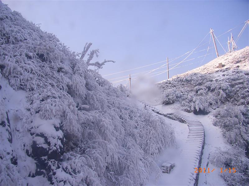 中国 重庆 南川金佛山 中国 重庆 南川金佛山