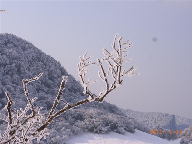 中国 重庆 南川金佛山 中国 重庆 南川金佛山