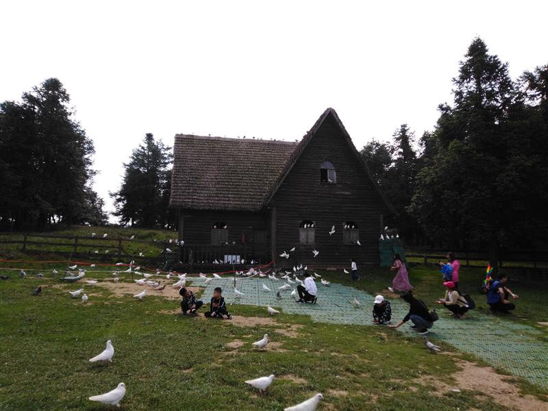 重庆 武隆仙女山