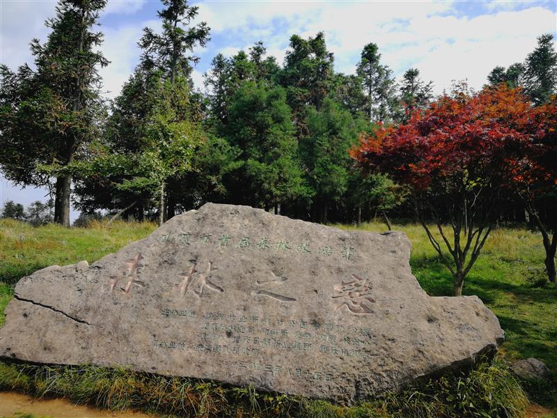 武隆仙女山 武隆仙女山