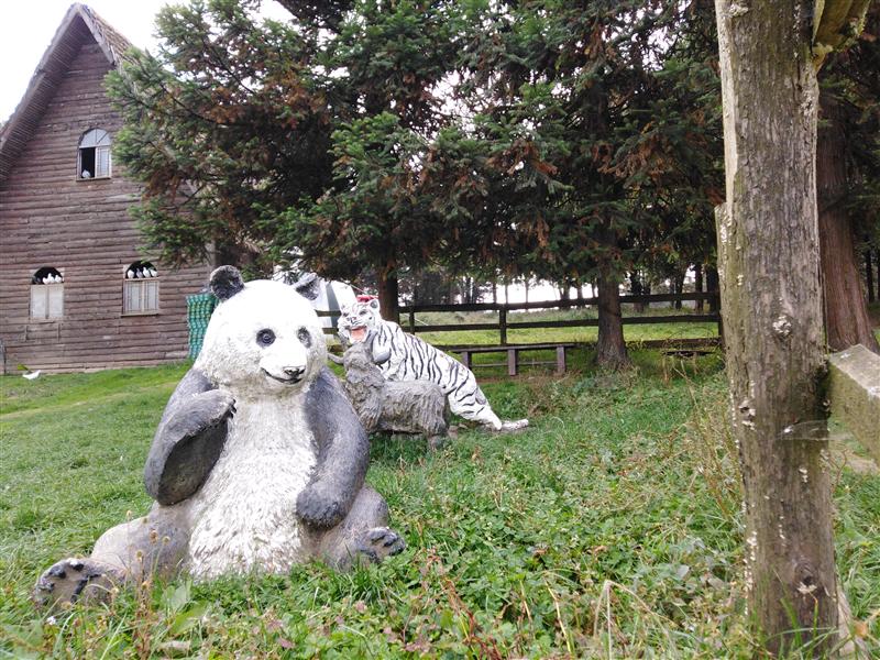 武隆仙女山 武隆仙女山