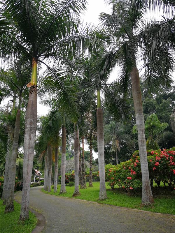 云南省 西双版纳自治州 