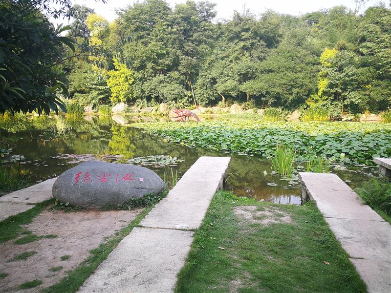 重庆市 璧山区 重庆市 璧山区
