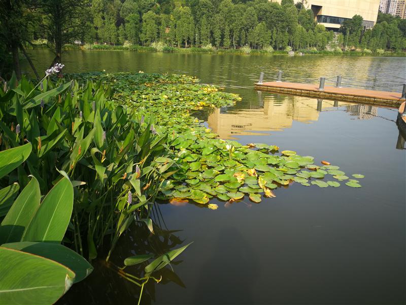 重庆市 璧山区  重庆市 璧山区