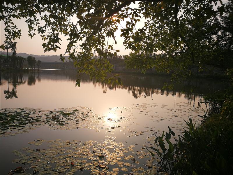 重庆市 璧山区  重庆市 璧山区