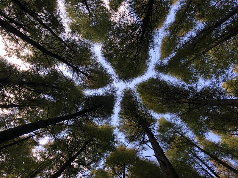 重慶 山王坪 重慶 山王坪