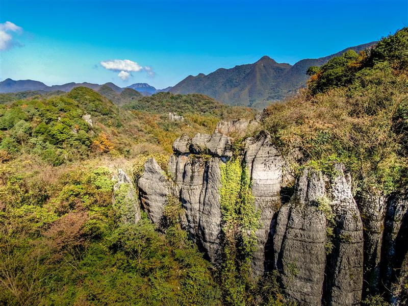 南川 山王坪 南川 山王坪