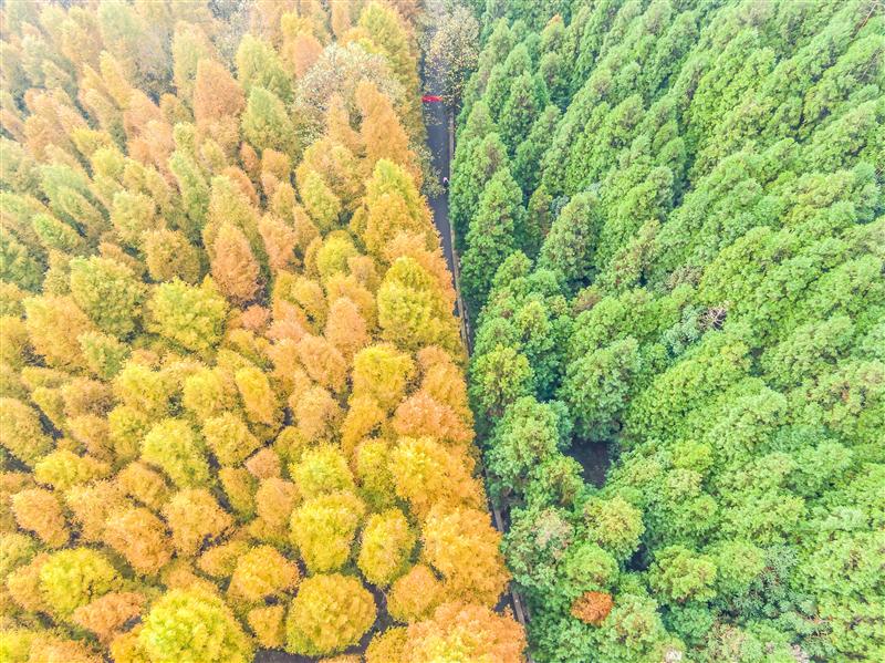 重慶 山王坪 重慶 山王坪