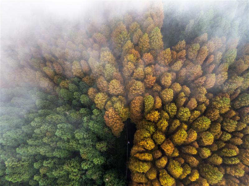 重慶 山王坪 重慶 山王坪