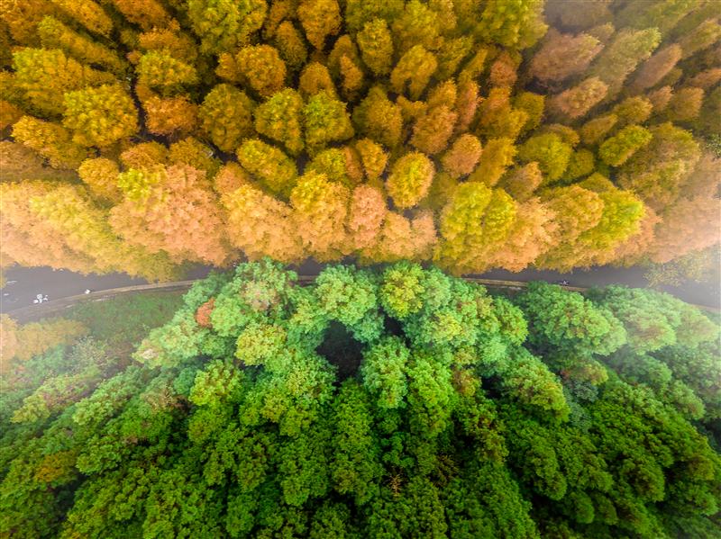 重慶 山王坪 重慶 山王坪