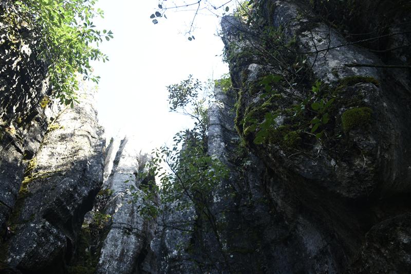 黑山谷石林 黑山谷石林