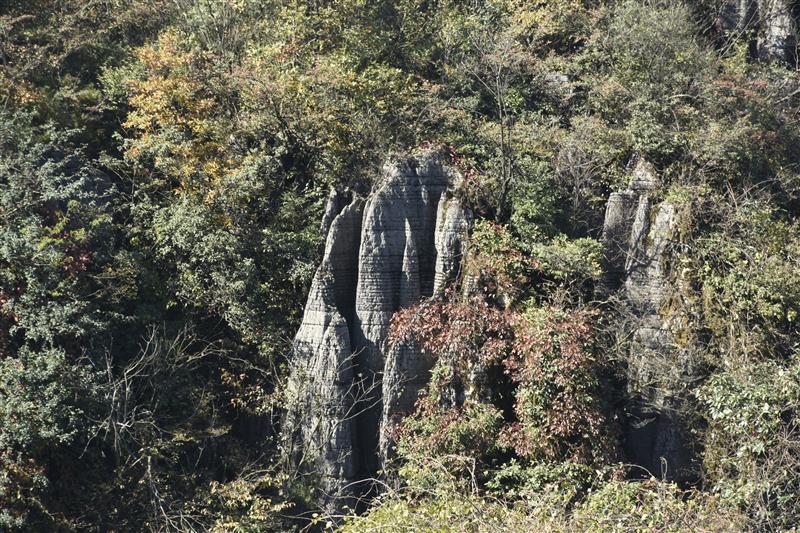 万盛石林 万盛石林