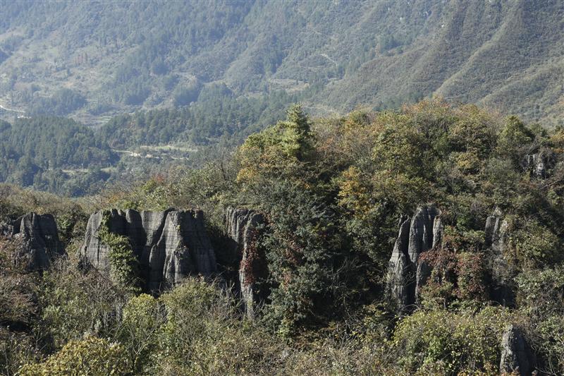 万盛石林 万盛石林