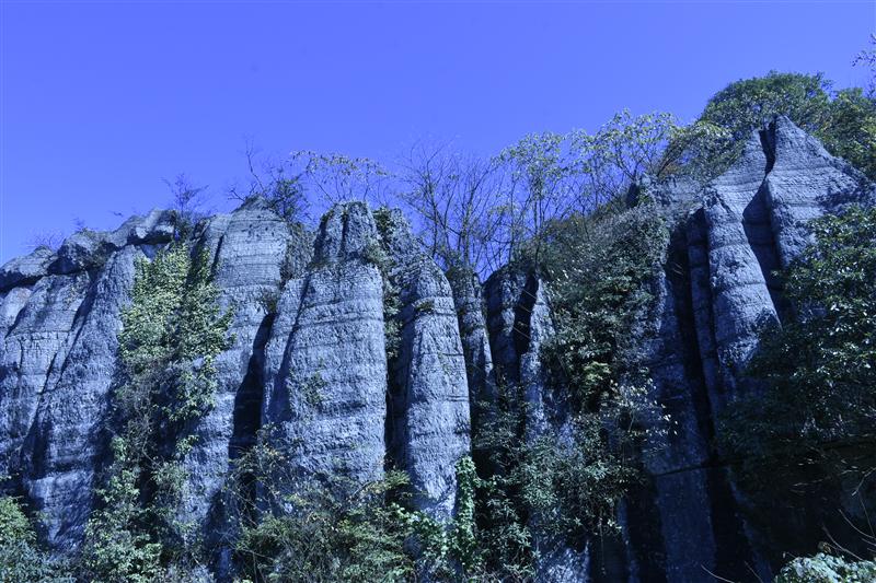 重庆 万盛石林 重庆 万盛石林