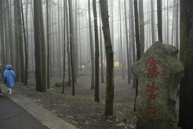 重庆 南川 山王坪 露营区