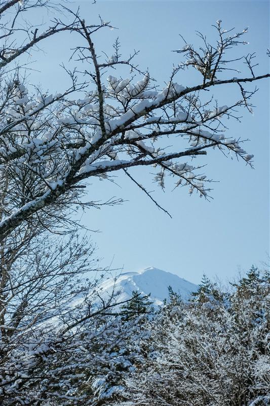 日本 富士山 一合目观景台 远眺富士山 雪景