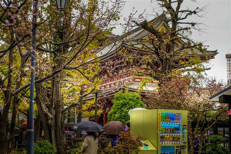 日本 淺草寺