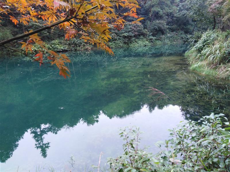 重庆市 九龙坡区 九凤瑶池 重庆市 九龙坡区 九凤瑶池
