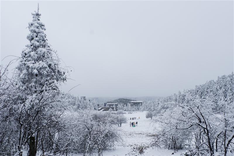 武隆区 仙女山雪景 武隆区 仙女山雪景