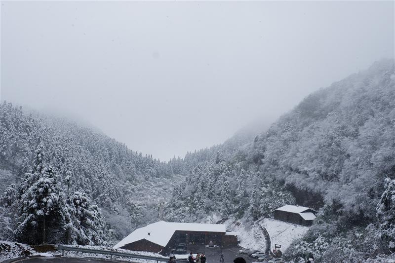 武隆区 仙女山 武隆区 仙女山