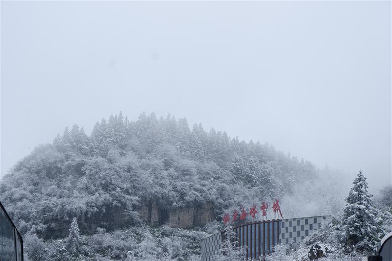武隆区 仙女山雪景 武隆区 仙女山雪景