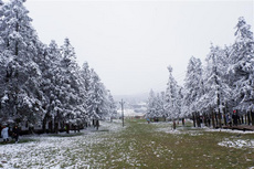 重庆市 武隆区 仙女山 冬季