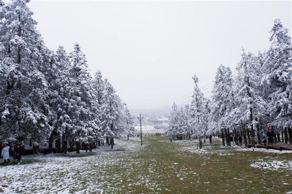 重庆市 武隆区 仙女山 冬季